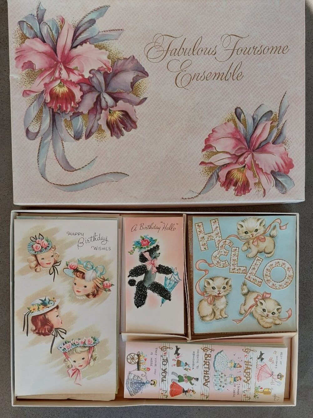 Vintage 1950s Greeting Card Box Set Unused 19 Cards Poodle Kitten Girl Roses